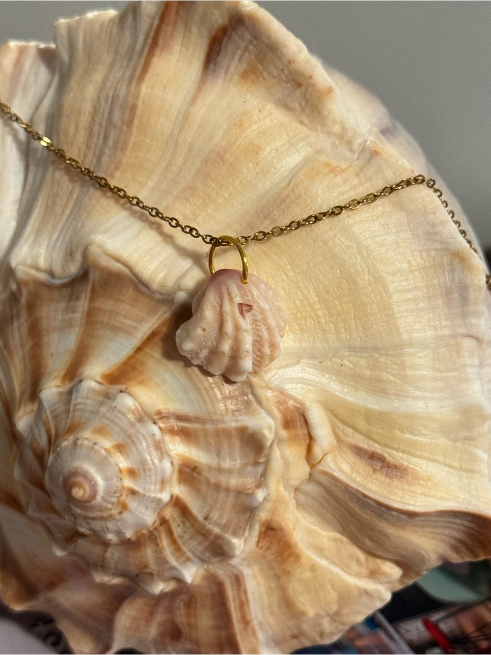 Delicate Pink And White Spiny Jewel Box Shell Pendant Necklace - 18” Gold Chain